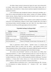 Ilgalaikio materialaus turto auditas: AB "Lietuvos jūrų laivininkystė" 4 puslapis
