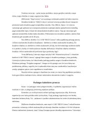 Draudimas. Draudimo paslaugos 13 puslapis