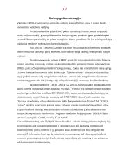 Draudimas. Draudimo paslaugos 17 puslapis