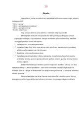 Draudimas. Draudimo paslaugos 18 puslapis