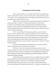 Draudimas. Draudimo paslaugos 4 puslapis