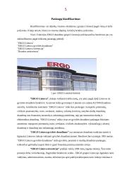 Draudimas. Draudimo paslaugos 5 puslapis