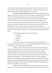 Draudimas. Draudimo paslaugos 6 puslapis