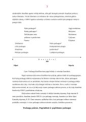 Draudimas. Draudimo paslaugos 7 puslapis