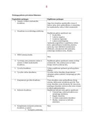 Draudimas. Draudimo paslaugos 8 puslapis