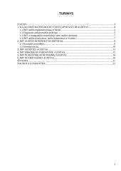 Ilgalaikio materialiojo turto auditas 2 puslapis