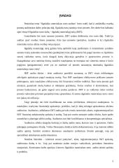 Ilgalaikio materialiojo turto auditas 3 puslapis