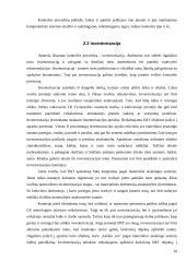 Ilgalaikio materialiojo turto auditas 10 puslapis