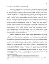 Draudimo veiklos esmė ir reikšmė 12 puslapis