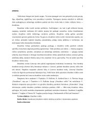 Draudimo veiklos esmė ir reikšmė 3 puslapis