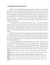 Draudimo veiklos esmė ir reikšmė 5 puslapis