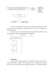 Ilgalaikio turto esmė, svarba įmonėje ir apskaita 10 puslapis