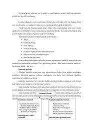 Ilgalaikio turto esmė, svarba įmonėje ir apskaita 13 puslapis