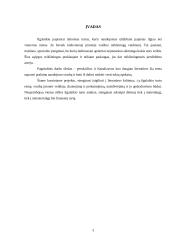 Ilgalaikio turto esmė, svarba įmonėje ir apskaita 2 puslapis