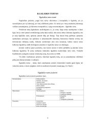 Ilgalaikio turto esmė, svarba įmonėje ir apskaita 3 puslapis