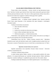 Ilgalaikio turto esmė, svarba įmonėje ir apskaita 4 puslapis