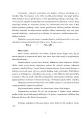 Ilgalaikio turto esmė, svarba įmonėje ir apskaita 6 puslapis