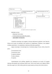 Ilgalaikio turto esmė, svarba įmonėje ir apskaita 9 puslapis