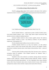 Įmonės analizė: draudimas DUAB "Ingo Baltic" 6 puslapis