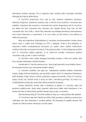 Ekonominės minties raida Lietuvoje 18 puslapis