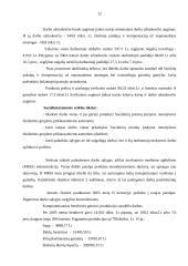 Įmonės analizė: techninių šepečių gamyba ir medienos gaminiai UAB "Regplasta" 12 puslapis