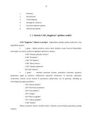 Įmonės analizė: techninių šepečių gamyba ir medienos gaminiai UAB "Regplasta" 15 puslapis
