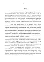 Įmonės analizė: techninių šepečių gamyba ir medienos gaminiai UAB "Regplasta" 4 puslapis