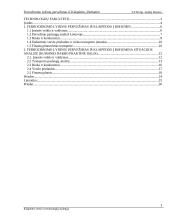 Ferrochromo lydinių pervežimas iš Klaipėdos į Bohumin. Bohumin - Klaipėda organizacinis projektas 3 puslapis