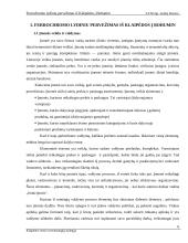 Ferrochromo lydinių pervežimas iš Klaipėdos į Bohumin. Bohumin - Klaipėda organizacinis projektas 6 puslapis