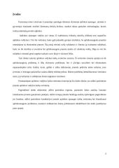 Įmonės aplinkos vadybos kaštų vertinimas: konditerijos gaminių gamyba UAB "Kauno didmenų kompanija" 2 puslapis