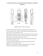 Gydymas Su Džok sistema 11 puslapis