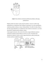 Gydymas Su Džok sistema 13 puslapis