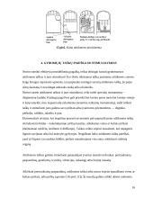 Gydymas Su Džok sistema 14 puslapis