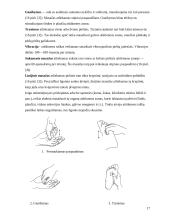 Gydymas Su Džok sistema 15 puslapis