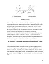 Gydymas Su Džok sistema 16 puslapis