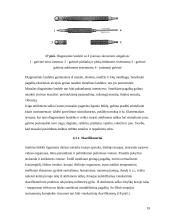 Gydymas Su Džok sistema 17 puslapis