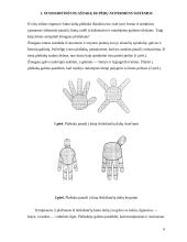 Gydymas Su Džok sistema 4 puslapis