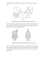 Gydymas Su Džok sistema 5 puslapis