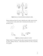 Gydymas Su Džok sistema 10 puslapis