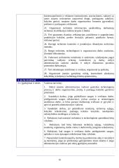 Įmonės ergonominis įvertinimas 16 puslapis