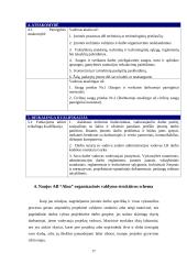 Įmonės ergonominis įvertinimas 17 puslapis