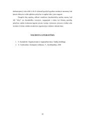 Įmonės ergonominis įvertinimas 20 puslapis