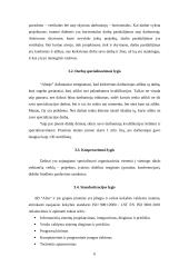 Įmonės ergonominis įvertinimas 6 puslapis