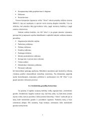 Įmonės ergonominis įvertinimas 7 puslapis