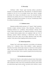 Įmonės ergonominis įvertinimas 8 puslapis