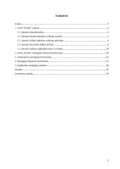 Įmonės finansinės strategijos formavimas ir jos pagrindimas: UAB "Erelita" 2 puslapis