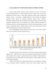 Įmonės finansinės strategijos formavimas ir jos pagrindimas: UAB "Erelita" 20 puslapis