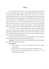 Įmonės finansinės strategijos formavimas ir jos pagrindimas: UAB "Erelita" 3 puslapis