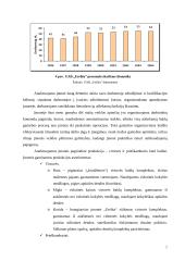 Įmonės finansinės strategijos formavimas ir jos pagrindimas: UAB "Erelita" 7 puslapis