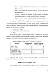 Įmonės finansinės strategijos formavimas ir jos pagrindimas: UAB "Erelita" 8 puslapis